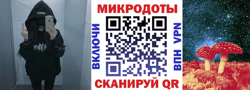 Купить закладки  Андреаполь  Псилоцибиновые грибы MAGIC MUSHROOMS 